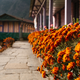 Illustration for article titled Anyone Can Do This 8-Day Trek Through Nepal